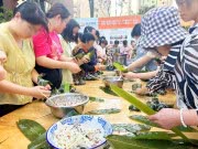 燃购端午 粽享现房 主城现房 即买即住即装修